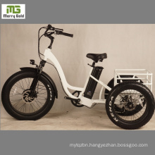 24 Inch Three Wheel Electric Bike for Adults/ 3 Wheel Fat Tire Bicycle with Basket